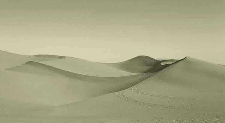 A personalidade só floresce no deserto